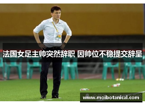 法国女足主帅突然辞职 因帅位不稳提交辞呈